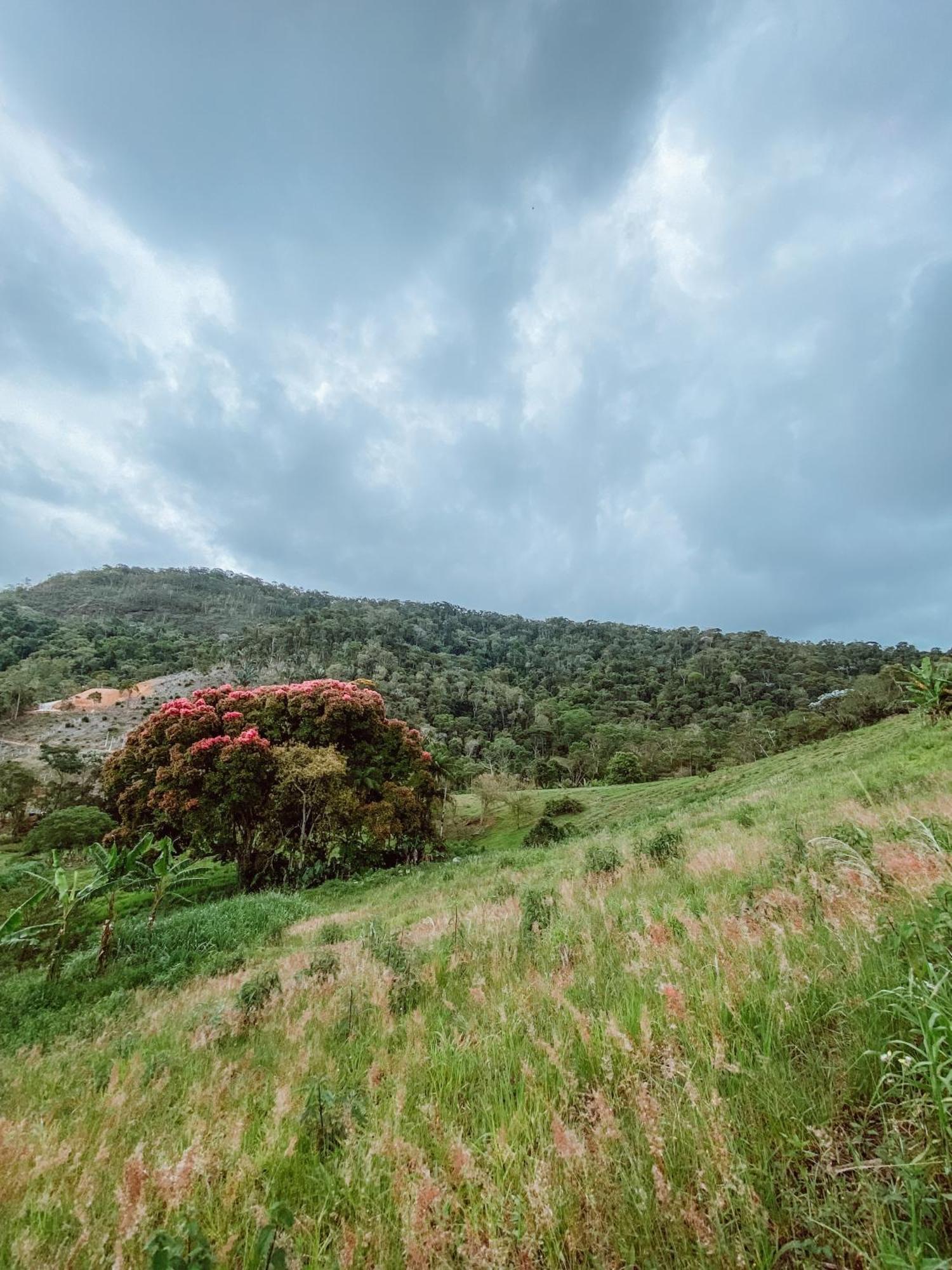 Holiday home Ancestrale - Refugio Natural De Inverno Em Santa Teresa *