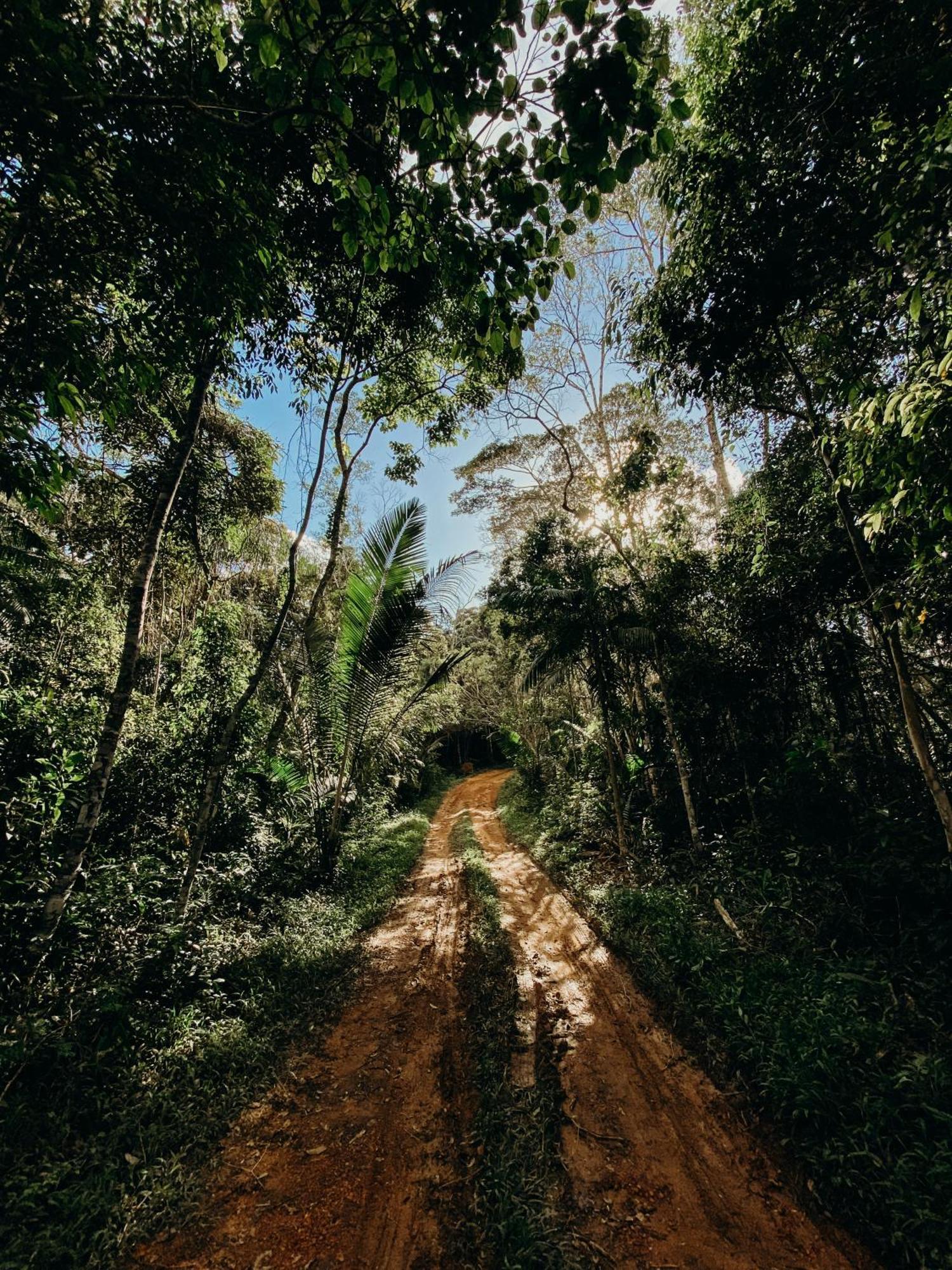 Ancestrale - Refugio Natural De Inverno Em Santa Teresa *